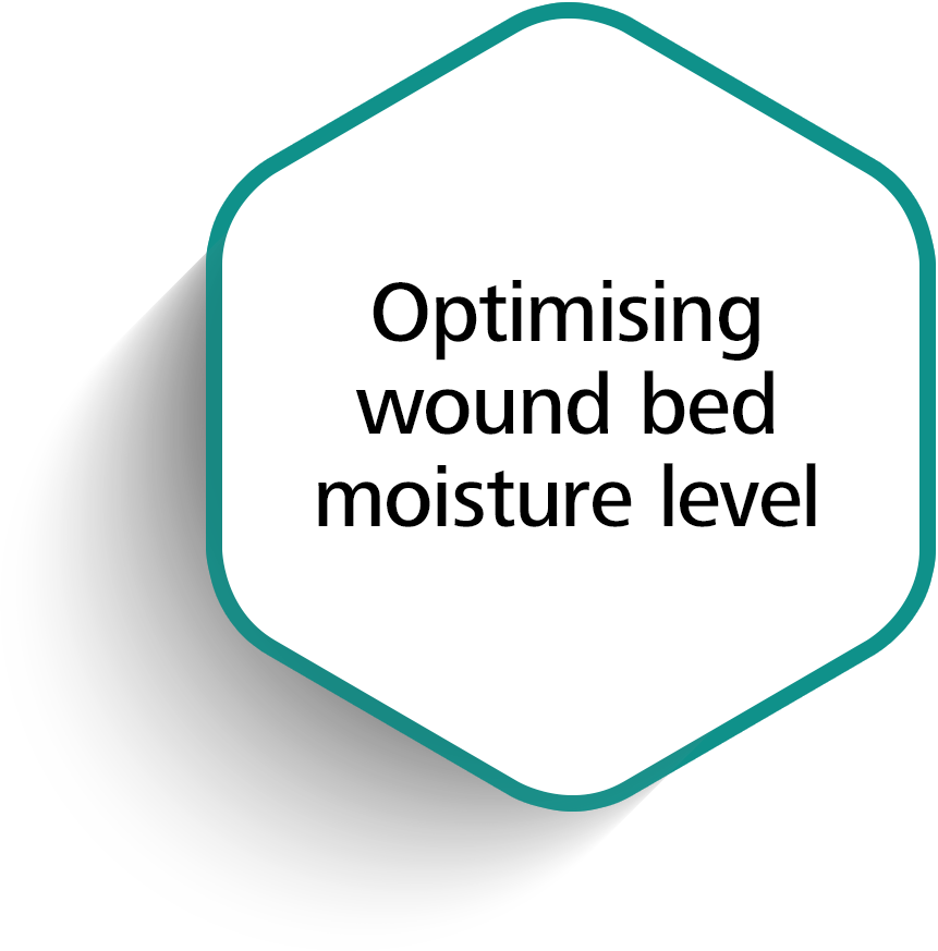 Optimizing wound bed moisture level