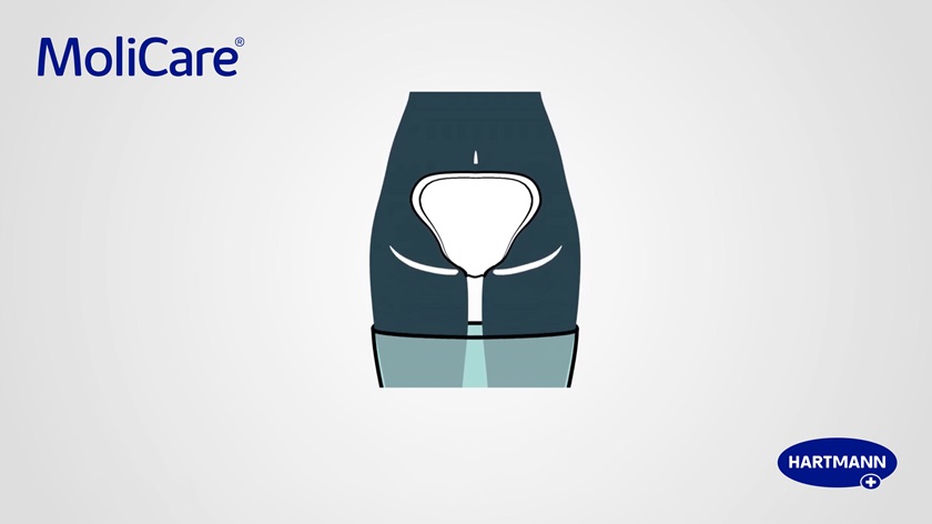 Illustration of a person wearing the MoliCare® Premium Form large pads.